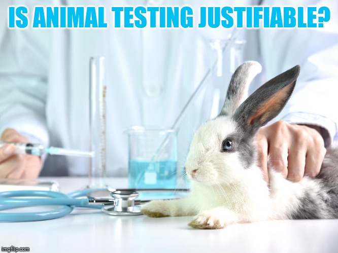 IS ANIMAL TESTING JUSTIFIABLE? | image tagged in animal testing | made w/ Imgflip meme maker