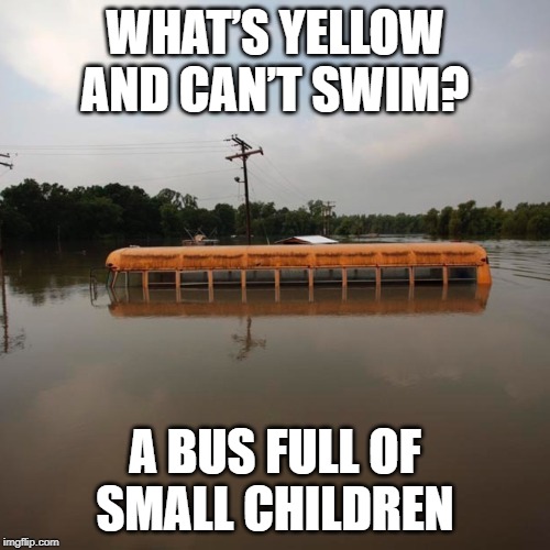 Drowning in Horror | WHAT’S YELLOW AND CAN’T SWIM? A BUS FULL OF SMALL CHILDREN | image tagged in flooded school bus | made w/ Imgflip meme maker