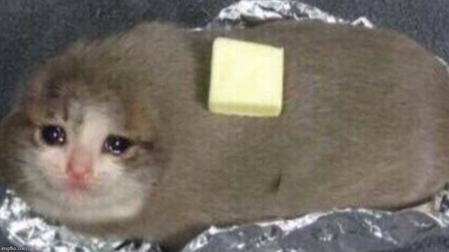 Sad Potato Cat Meme