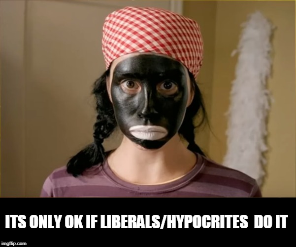 sarah silverman | ITS ONLY OK IF LIBERALS/HYPOCRITES  DO IT | image tagged in sarah silverman | made w/ Imgflip meme maker
