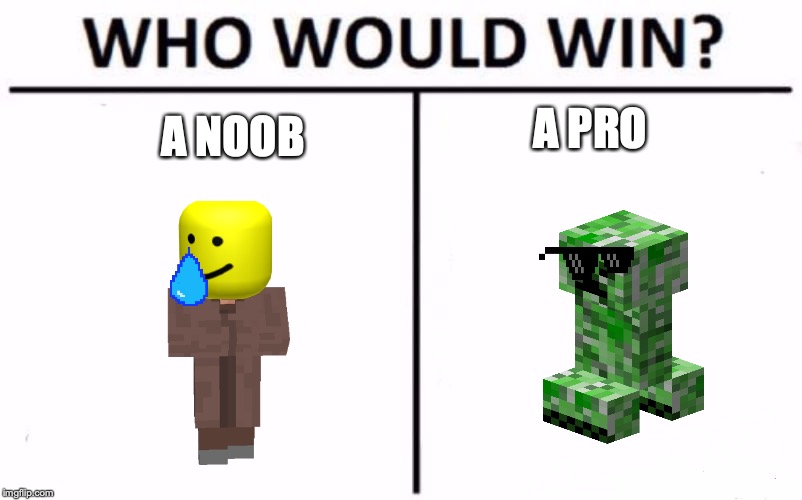 Who Would Win? | A NOOB; A PRO | image tagged in memes,who would win | made w/ Imgflip meme maker