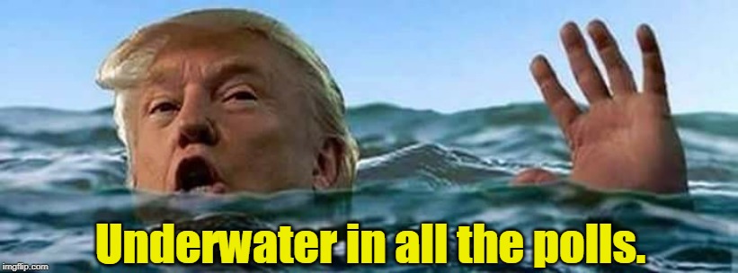 Not counting the foreign vote. See INTERNET RESEARCH AGENCY, 55 SAVUSHKINA STREET, ST. PETERSBURG, RUSSIA. Ask for Vladimir. | Underwater in all the polls. | image tagged in trump ocean sea climate change,trump,polls,loser | made w/ Imgflip meme maker