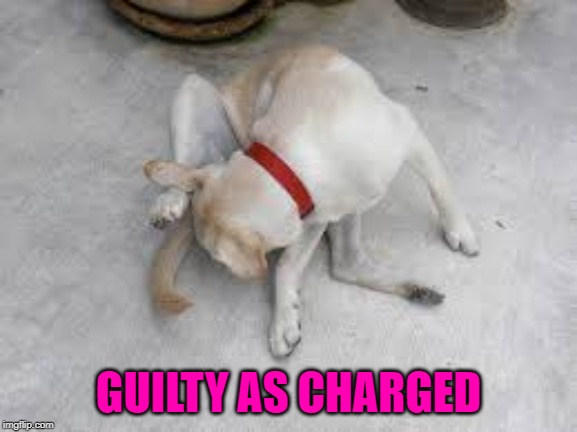 GUILTY AS CHARGED | made w/ Imgflip meme maker