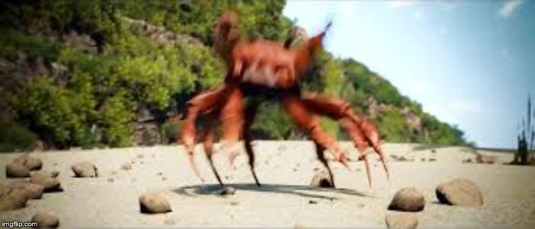 crab rave | image tagged in crab rave | made w/ Imgflip meme maker