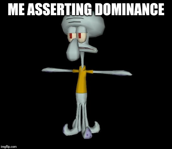 Squidward t-pose | ME ASSERTING DOMINANCE | image tagged in squidward t-pose | made w/ Imgflip meme maker