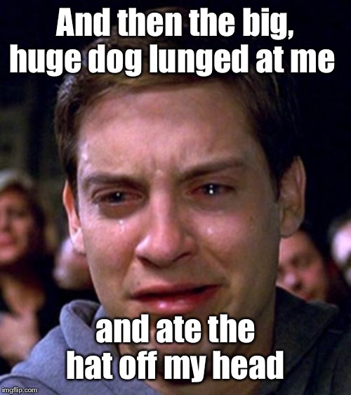 crying peter parker | And then the big, huge dog lunged at me and ate the hat off my head | image tagged in crying peter parker | made w/ Imgflip meme maker