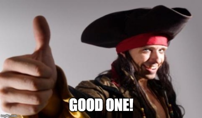 pirate thumbs up | GOOD ONE! | image tagged in pirate thumbs up | made w/ Imgflip meme maker