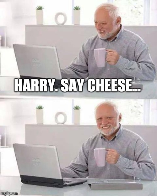 Hide the Pain Harold | HARRY. SAY CHEESE... | image tagged in memes,hide the pain harold | made w/ Imgflip meme maker