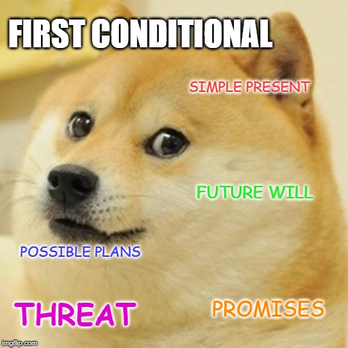 Doge Meme | FIRST CONDITIONAL; SIMPLE PRESENT; FUTURE WILL; POSSIBLE PLANS; THREAT; PROMISES | image tagged in memes,doge | made w/ Imgflip meme maker