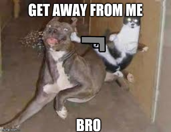 did some one say ____???? | GET AWAY FROM ME; BRO | image tagged in did some one say ____ | made w/ Imgflip meme maker