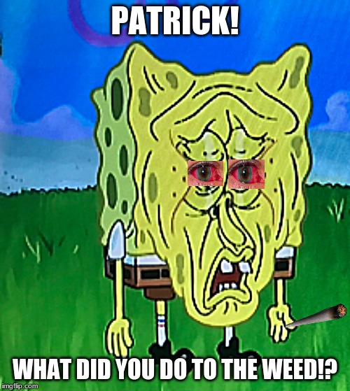 Weed | PATRICK! WHAT DID YOU DO TO THE WEED!? | image tagged in sponebob,weed | made w/ Imgflip meme maker