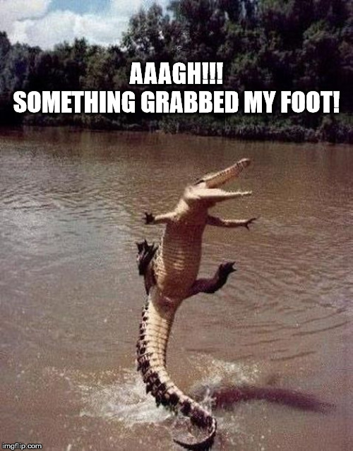 Foot Grab |  AAAGH!!!
SOMETHING GRABBED MY FOOT! | image tagged in alligator,crocodile,croc,gator,shock,surprise | made w/ Imgflip meme maker