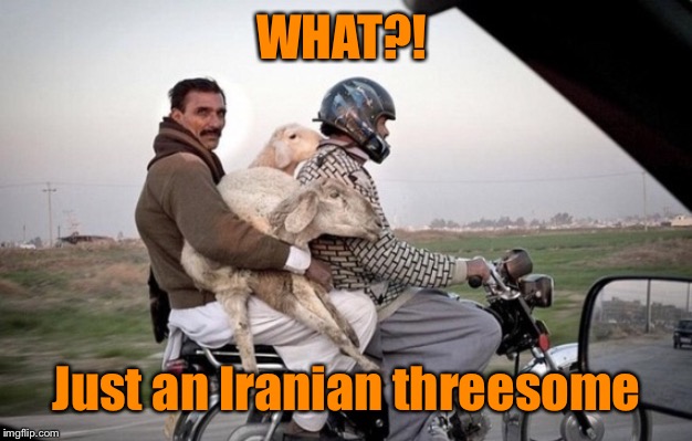 Just another day in the desert | WHAT?! Just an Iranian threesome | image tagged in iranians,threesome,sheep,motorcycle | made w/ Imgflip meme maker
