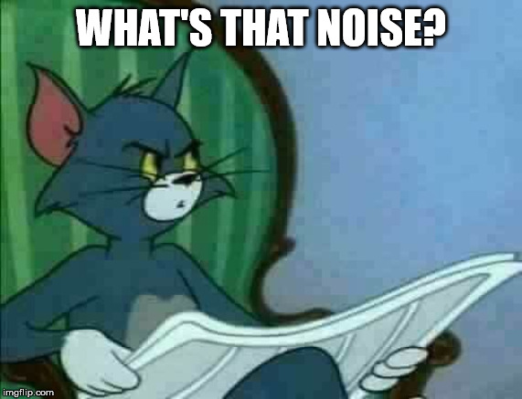 Tom Cat WTF | WHAT'S THAT NOISE? | image tagged in tom cat wtf | made w/ Imgflip meme maker