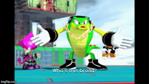 Vector insults Rouge! | image tagged in gifs,sonic the hedgehog | made w/ Imgflip images-to-gif maker