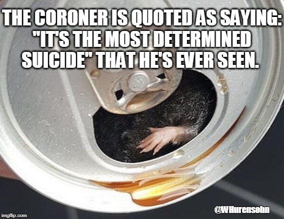 Why? | THE CORONER IS QUOTED AS SAYING:
"IT'S THE MOST DETERMINED SUICIDE" THAT HE'S EVER SEEN. @WHurensohn | image tagged in mouse,soda can,mouse in soda can | made w/ Imgflip meme maker