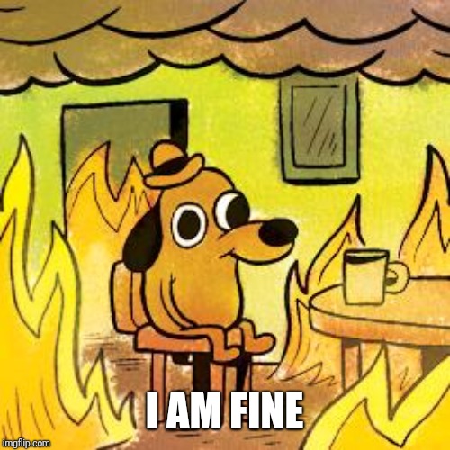 I AM FINE | image tagged in dog in burning house | made w/ Imgflip meme maker