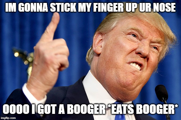 Donald Trump | IM GONNA STICK MY FINGER UP UR NOSE; OOOO I GOT A BOOGER *EATS BOOGER* | image tagged in donald trump | made w/ Imgflip meme maker
