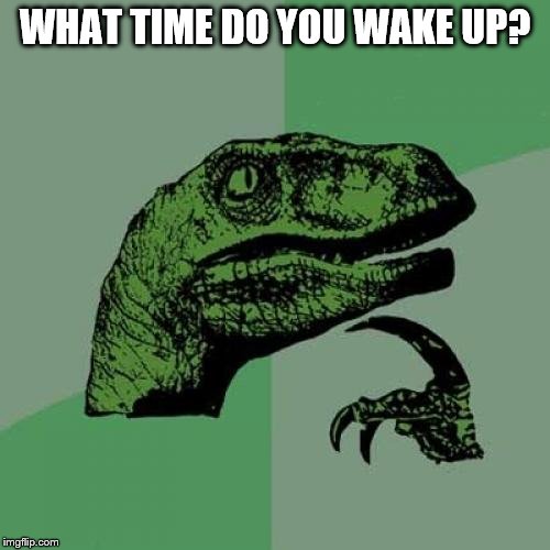 Philosoraptor | WHAT TIME DO YOU WAKE UP? | image tagged in memes,philosoraptor | made w/ Imgflip meme maker