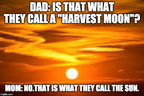 Duh, Dad. | DAD: IS THAT WHAT THEY CALL A "HARVEST MOON"? MOM: NO.THAT IS WHAT THEY CALL THE SUN. | image tagged in dad,dad joke,stare dad | made w/ Imgflip meme maker