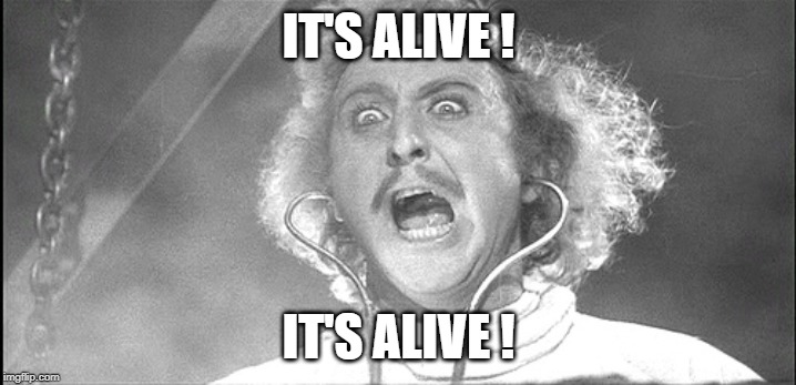 young frankenstien | IT'S ALIVE ! IT'S ALIVE ! | image tagged in young frankenstien | made w/ Imgflip meme maker