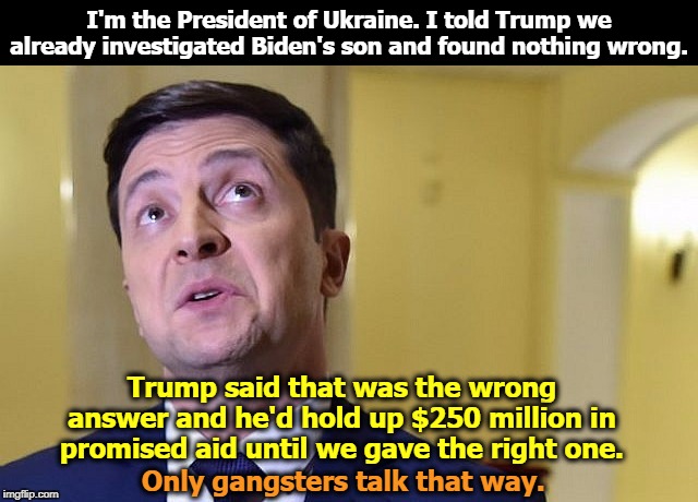 Trump's Mafia strong arm tactics blew up and burned his widdle fingers. | I'm the President of Ukraine. I told Trump we already investigated Biden's son and found nothing wrong. Trump said that was the wrong answer and he'd hold up $250 million in promised aid until we gave the right one. Only gangsters talk that way. | image tagged in zelensky,ukraine,biden,trump,blackmail,extortion | made w/ Imgflip meme maker