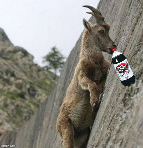 image tagged in EDanonymemes | made w/ Imgflip meme maker