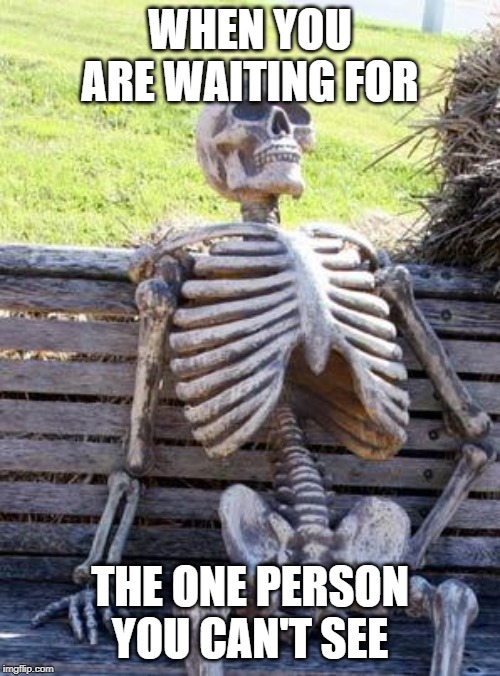 Waiting Skeleton | WHEN YOU ARE WAITING FOR; THE ONE PERSON YOU CAN'T SEE | image tagged in memes,waiting skeleton | made w/ Imgflip meme maker