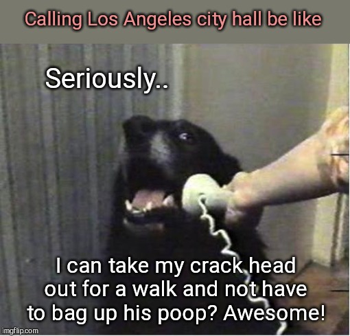 Hello City Hall | Calling Los Angeles city hall be like; Seriously.. I can take my crack head out for a walk and not have to bag up his poop? Awesome! | image tagged in yes this is dog,los angeles,california,drug addicts,disgusting | made w/ Imgflip meme maker
