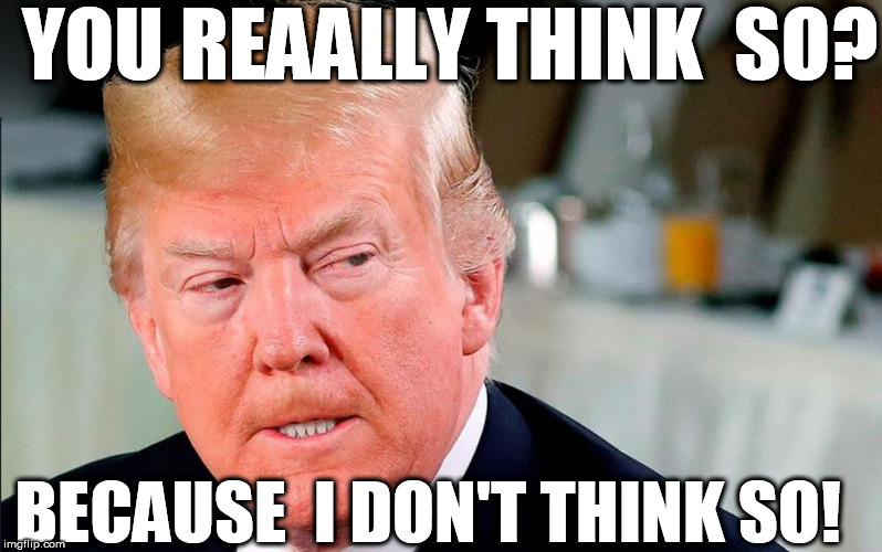 Trump  GETS   serious! | YOU REAALLY THINK  SO? BECAUSE  I DON'T THINK SO! | image tagged in donald trump,trump for president,i don't think so | made w/ Imgflip meme maker