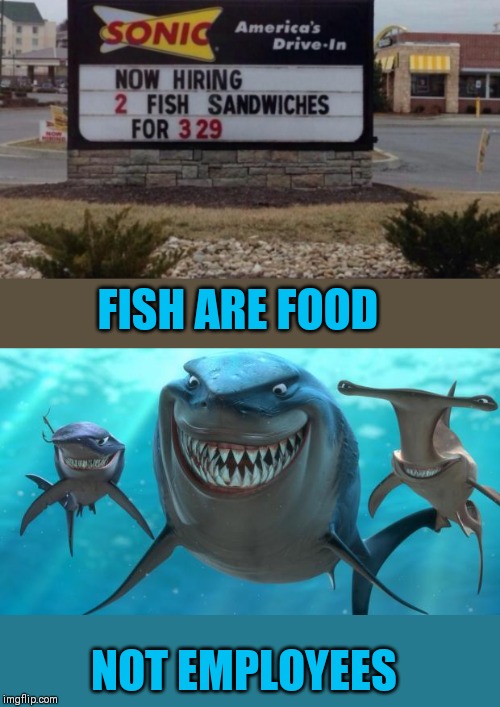 There's something fishy about this | FISH ARE FOOD; NOT EMPLOYEES | image tagged in fish are friends not food,finding nemo,44colt,sonic,food,funny signs | made w/ Imgflip meme maker