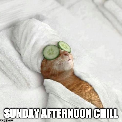 Cat spa sunday | SUNDAY AFTERNOON CHILL | image tagged in cat,spa,sunday,afternoon,chill | made w/ Imgflip meme maker