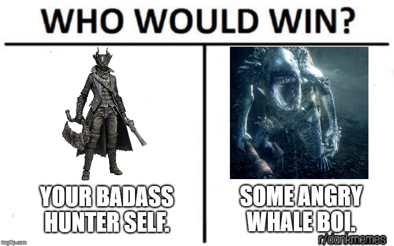 who would win | SOME ANGRY WHALE BOI. YOUR BADASS HUNTER SELF. | image tagged in who would win | made w/ Imgflip meme maker
