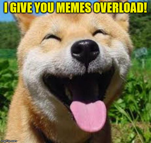 Happy Doge | I GIVE YOU MEMES OVERLOAD! | image tagged in happy doge | made w/ Imgflip meme maker