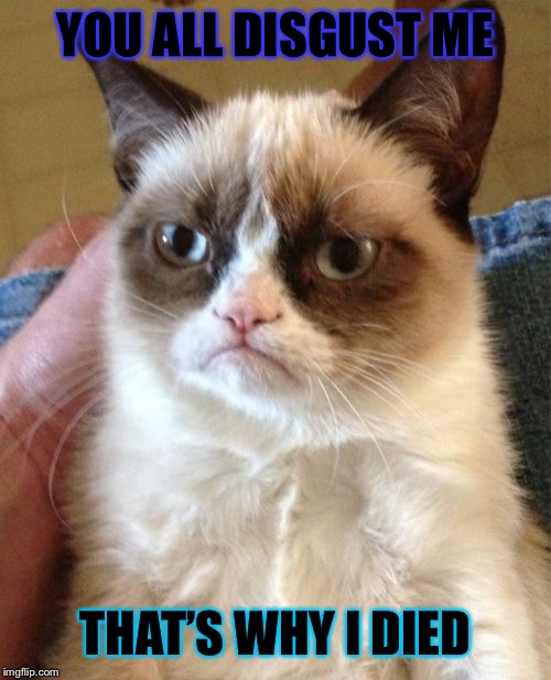 Grumpy Cat Meme | YOU ALL DISGUST ME; THAT’S WHY I DIED | image tagged in memes,grumpy cat | made w/ Imgflip meme maker