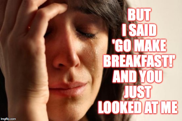 First World Problems Meme | BUT I SAID 'GO MAKE BREAKFAST!' AND YOU JUST LOOKED AT ME | image tagged in memes,first world problems | made w/ Imgflip meme maker