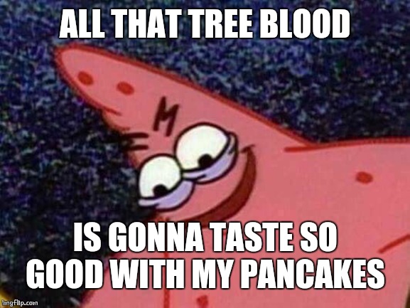Patrick Looking Down | ALL THAT TREE BLOOD IS GONNA TASTE SO GOOD WITH MY PANCAKES | image tagged in patrick looking down | made w/ Imgflip meme maker