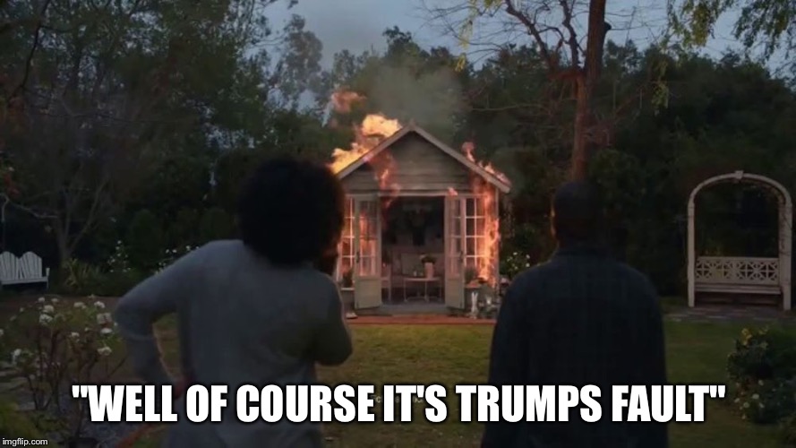 Cheryl's She Shed | "WELL OF COURSE IT'S TRUMPS FAULT" | image tagged in cheryl's she shed | made w/ Imgflip meme maker