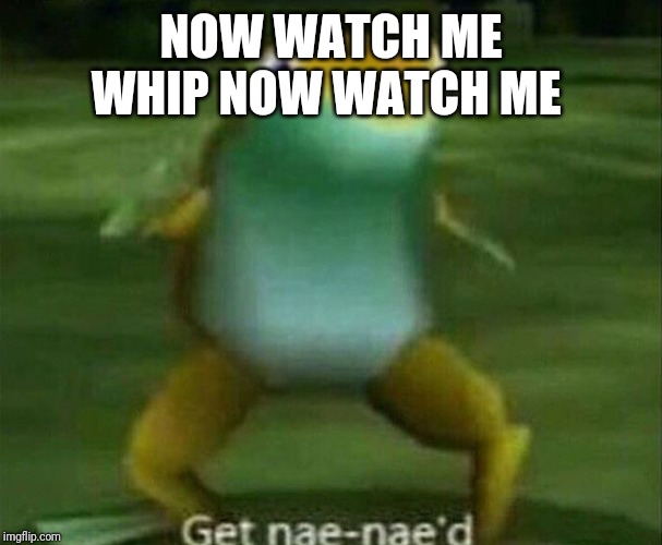 Get nae-nae'd | NOW WATCH ME WHIP NOW WATCH ME | image tagged in get nae-nae'd | made w/ Imgflip meme maker