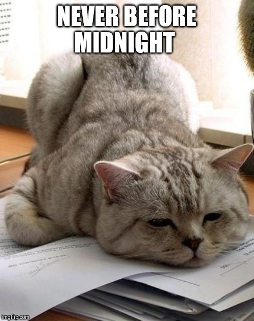 Tired Cat | NEVER BEFORE MIDNIGHT | image tagged in tired cat | made w/ Imgflip meme maker
