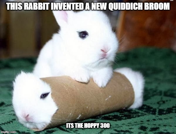  THIS RABBIT INVENTED A NEW QUIDDICH BROOM; ITS THE HOPPY 300 | image tagged in rabbits,harry potter,cursed image,memes,toilet paper roll | made w/ Imgflip meme maker