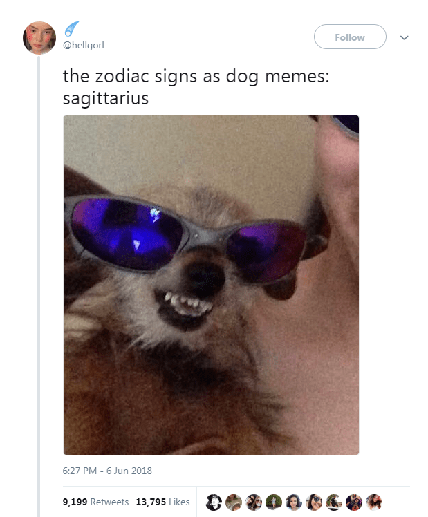 High Quality dog meme Blank Meme Template