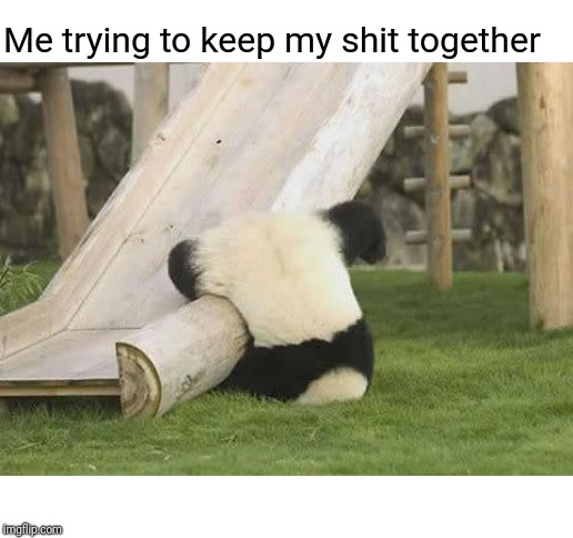 Panda Fail | Me trying to keep my shit together | image tagged in panda fail | made w/ Imgflip meme maker