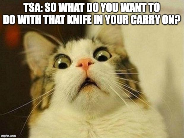 Scared Cat Meme | TSA: SO WHAT DO YOU WANT TO DO WITH THAT KNIFE IN YOUR CARRY ON? | image tagged in memes,scared cat | made w/ Imgflip meme maker