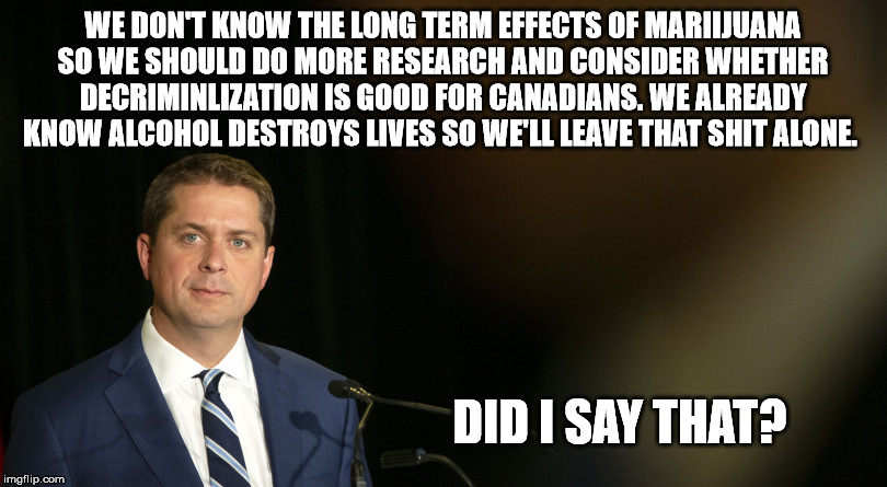 Scheer Hates You | WE DON'T KNOW THE LONG TERM EFFECTS OF MARIIJUANA SO WE SHOULD DO MORE RESEARCH AND CONSIDER WHETHER DECRIMINLIZATION IS GOOD FOR CANADIANS. WE ALREADY KNOW ALCOHOL DESTROYS LIVES SO WE'LL LEAVE THAT SHIT ALONE. DID I SAY THAT? | image tagged in drugs,meanwhile in canada,canada | made w/ Imgflip meme maker