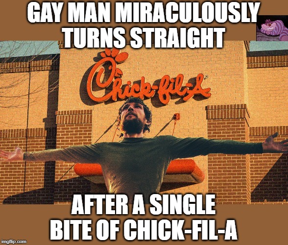 Chick-fil-A's profits double despite virtue signaling protests. | GAY MAN MIRACULOUSLY TURNS STRAIGHT; AFTER A SINGLE BITE OF CHICK-FIL-A | image tagged in chick-fil-a | made w/ Imgflip meme maker