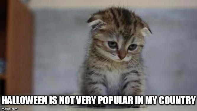 Sad kitten | HALLOWEEN IS NOT VERY POPULAR IN MY COUNTRY | image tagged in sad kitten | made w/ Imgflip meme maker