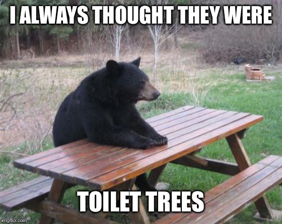 Bad Luck Bear Meme | I ALWAYS THOUGHT THEY WERE TOILET TREES | image tagged in memes,bad luck bear | made w/ Imgflip meme maker