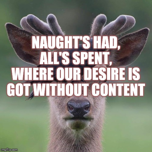 NAUGHT'S HAD, ALL'S SPENT, WHERE OUR DESIRE IS GOT WITHOUT CONTENT | made w/ Imgflip meme maker
