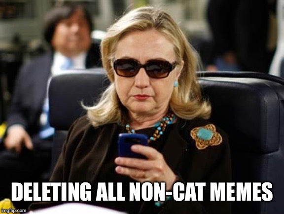 Hillary Clinton Cellphone Meme | DELETING ALL NON-CAT MEMES | image tagged in memes,hillary clinton cellphone | made w/ Imgflip meme maker